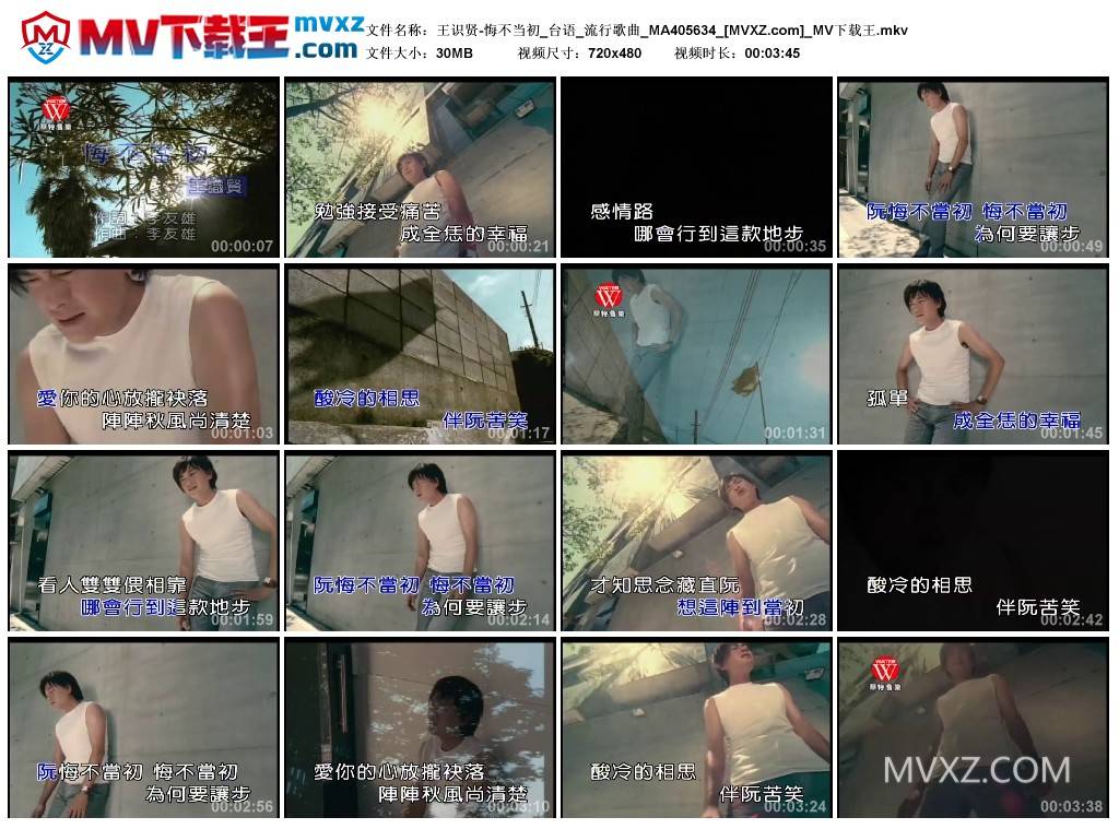 王识贤-悔不当初_台语_流行歌曲_MA405634